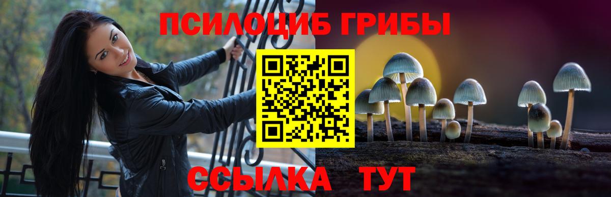 Галлюциногенные грибы Psilocybe  Вход с VPN  Еманжелинск 